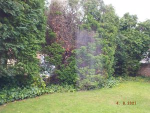 Photo 4- click for photo gallery